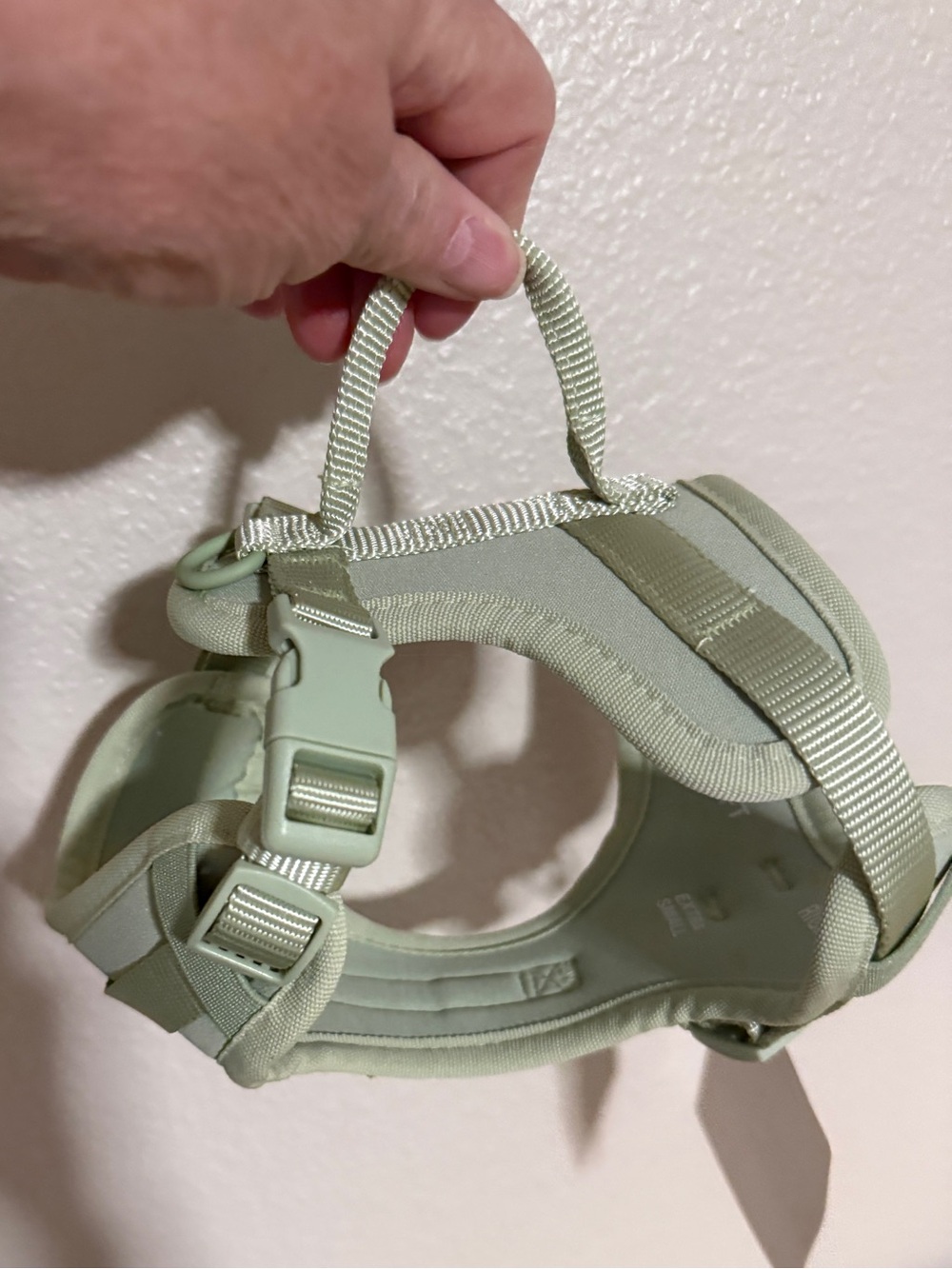 Vibrant XS Control Dog Harness in Light Save Green (runs large)